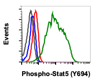 Phospho-Stat5 (Tyr694) (G11) rabbit mAb Antibody