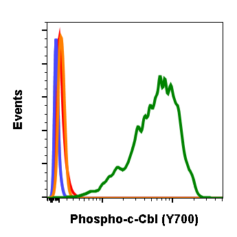 Phospho-c-Cbl (Tyr700) (E1) rabbit mAb Antibody