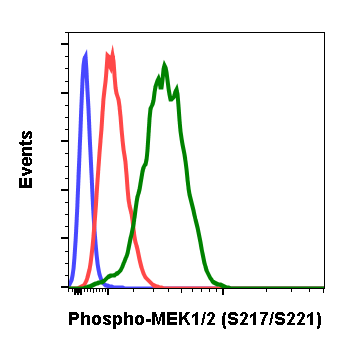 Phospho-MEK1/2 (Ser217/221) (H2) rabbit mAb