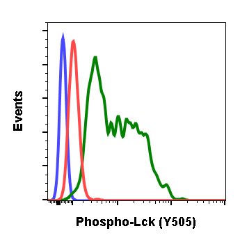 Phospho-Lck (Tyr505) (A3) rabbit mAb Antibody