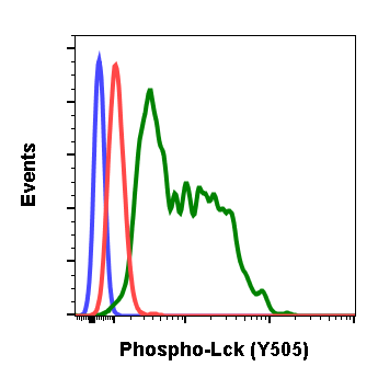Phospho-Lck (Tyr505) (A3) rabbit mAb
