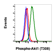 Phospho-Akt1 (Thr308) (G12) rabbit mAb