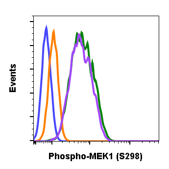 Phospho-MEK1 (Ser298) (H8) rabbit mAb Antibody