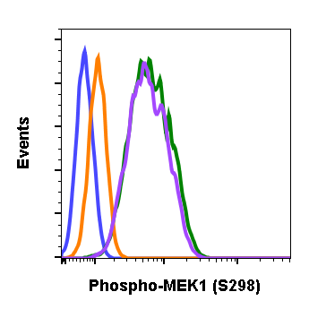 Phospho-MEK1 (Ser298) (H8) rabbit mAb