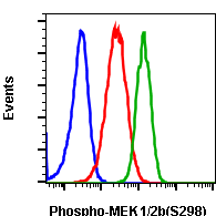 Phospho-MEK1 (Ser298) (H8) rabbit mAb