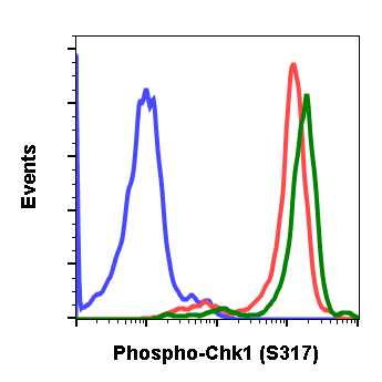 Phospho-Chk1 (Ser317) (G1) rabbit mAb Antibody