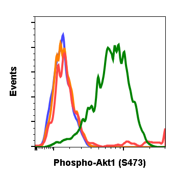 Phospho-Akt1 (Ser473) (B9) rabbit mAb
