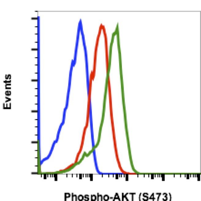 Phospho-Akt1 (Ser473) (B9) rabbit mAb