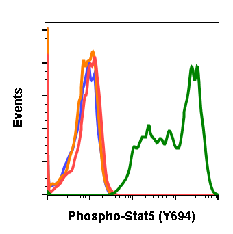 Phospho-Stat5 (Tyr694) (B5) rabbit mAb Antibody