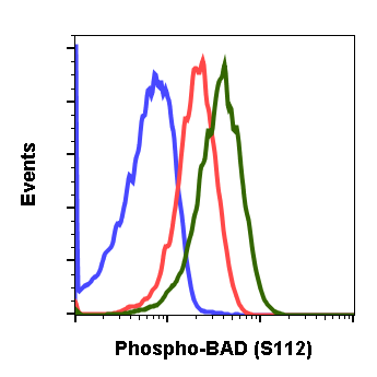 Phospho-BAD (Ser112) (B9) rabbit mAb Antibody