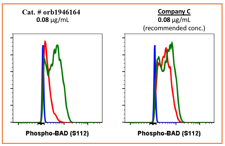 Phospho-BAD (Ser112) (B9) rabbit mAb Antibody