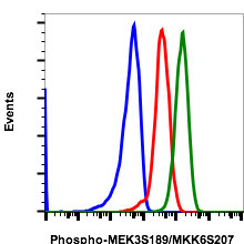 Phospho-MKK3 (Ser189)/MKK6 (Ser207) (D3) rabbit mAb Antibody