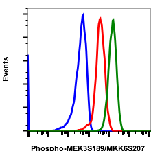 Phospho-MKK3 (Ser189)/MKK6 (Ser207) (D3) rabbit mAb
