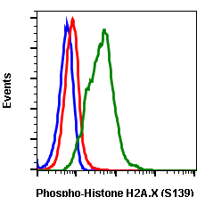 Phospho-Histone H2A.X (Ser139) (1E4) rabbit mAb Antibody