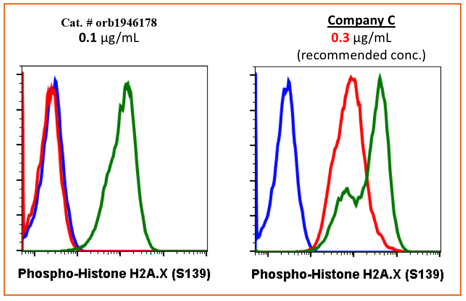 Phospho-Histone H2A.X (Ser139) (1E4) rabbit mAb Antibody