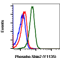 Phospho-Ship2 (Tyr1135) rabbit mAb SureLight488 conjugate Antibody