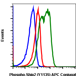 Phospho-Ship2 (Tyr1135) rabbit mAb APC conjugate Antibody