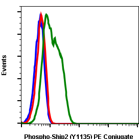 Phospho-Ship2 (Tyr1135) rabbit mAb PE conjugate Antibody