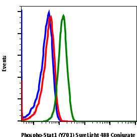 Phospho-Stat1 (Tyr701) (3E6)rabbit mAb SureLight488 conjugate