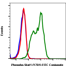Phospho-Stat1 (Tyr701) (3E6) rabbit mAb FITC conjugate