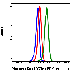 Phospho-Stat1 (Tyr701) (3E6) rabbit mAb PE conjugate