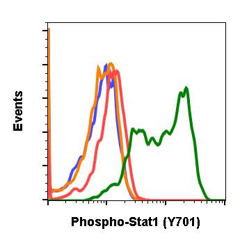 Phospho-Stat1 (Tyr701) (3E6) rabbit mAb Antibody