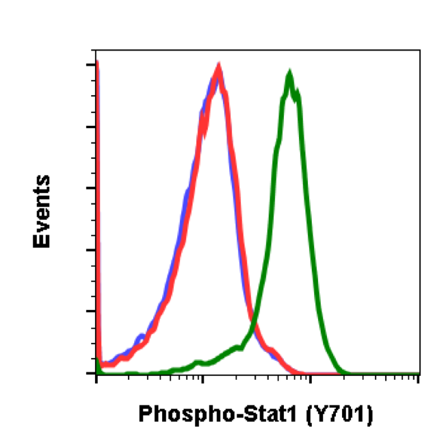 Phospho-Stat1 (Tyr701) (3E6) rabbit mAb Antibody