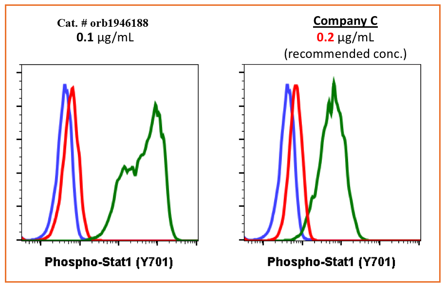Phospho-Stat1 (Tyr701) (3E6) rabbit mAb Antibody