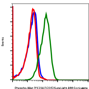 Phospho-MET(Tyr1234/Tyr1235) rabbit mAb SureLight488 conjugate Antibody