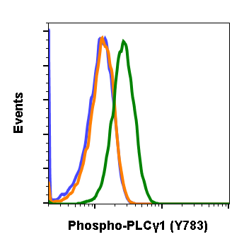 Phospho-PLCγ1 (Tyr783) (C4) rabbit mAb Antibody