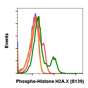 Phospho-Histone H2A.X (Ser139) (1B3) rabbit mAb Antibody