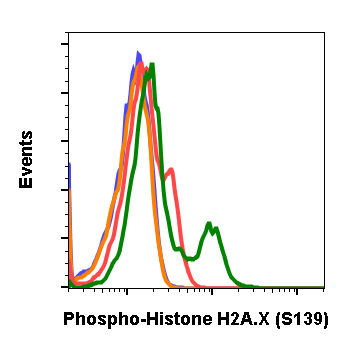 Phospho-Histone H2A.X (Ser139) (1B3) rabbit mAb