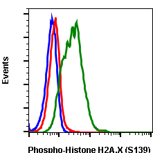 Phospho-Histone H2A.X (Ser139) (1B3) rabbit mAb Antibody
