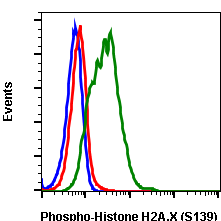 Phospho-Histone H2A.X (Ser139) (1B3) rabbit mAb