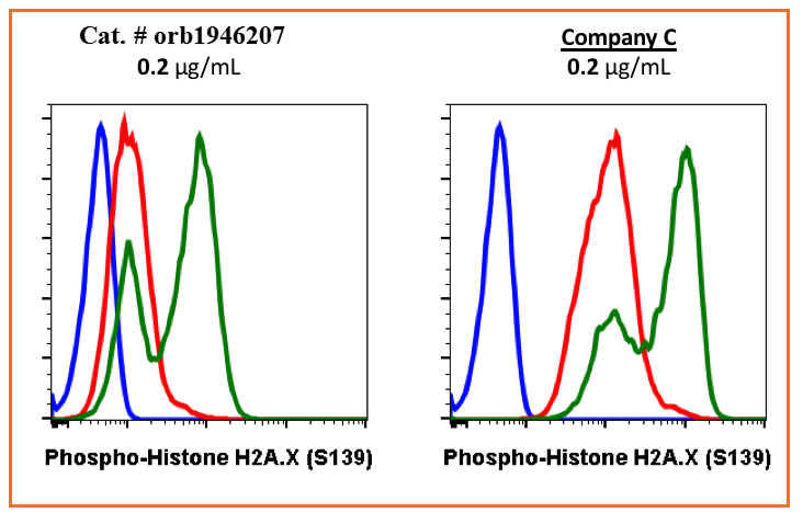 Phospho-Histone H2A.X (Ser139) (1B3) rabbit mAb Antibody