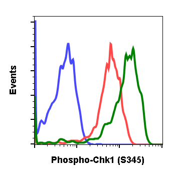 Phospho-Chk1 (Ser345) (R3F9) rabbit mAb Antibody