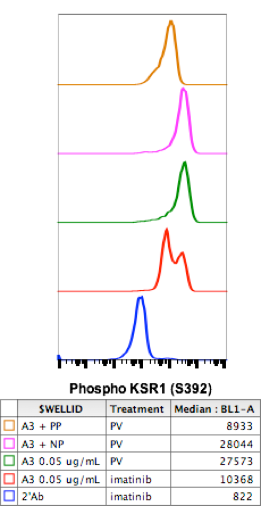 Phospho-KSR1 (Ser392) (3A4) rabbit mAb