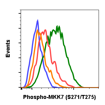 Phospho-MKK7 (Ser271/Thr275) (R4F9) rabbit mAb Antibody