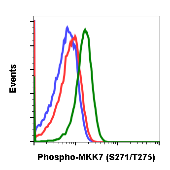 Phospho-MKK7 (Ser271/Thr275) (R4F9) rabbit mAb Antibody