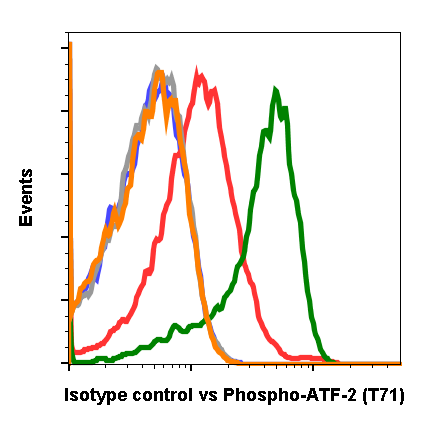 Isotype Control (G9) rabbit mAb Antibody