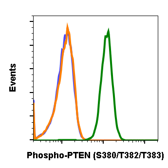 Phospho-PTEN (Ser380/Thr382/383) (E4) rabbit mAb Antibody