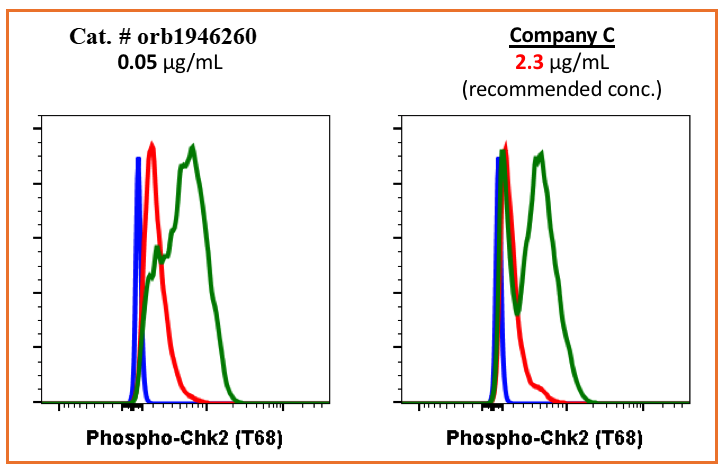 Phospho-Chk2 (Thr68) (D12) rabbit mAb Antibody