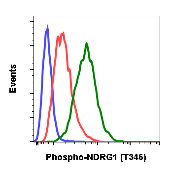 Phospho-NDRG1 (Thr346) (F5) rabbit mAb Antibody