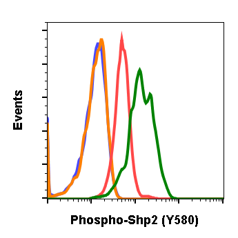 Phospho-Shp2 (Tyr580) (4A2) rabbit mAb Antibody