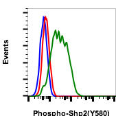 Phospho-Shp2 (Tyr580) (4A2) rabbit mAb Antibody