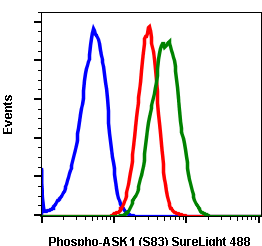 Phospho-Ask1 (Ser83) rabbit mAb SureLight 488 conjugate