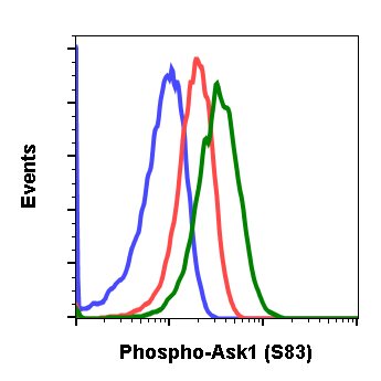 Phospho-Ask1 (Ser83) (G4) rabbit mAb Antibody