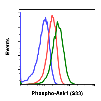 Phospho-Ask1 (Ser83) (G4) rabbit mAb