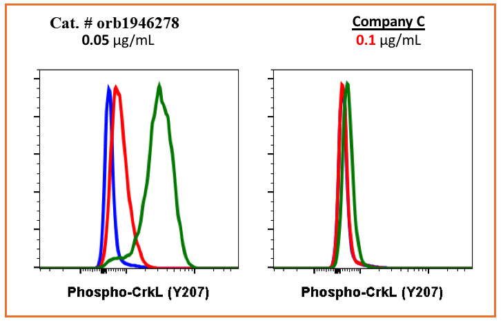 Phospho-CrkL (Tyr207) (G4) rabbit mAb Antibody