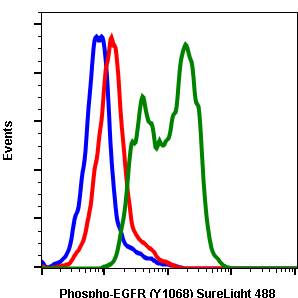 Phospho-EGFR (Tyr1068) (E5) rabbit mAb SureLight488 conjugate